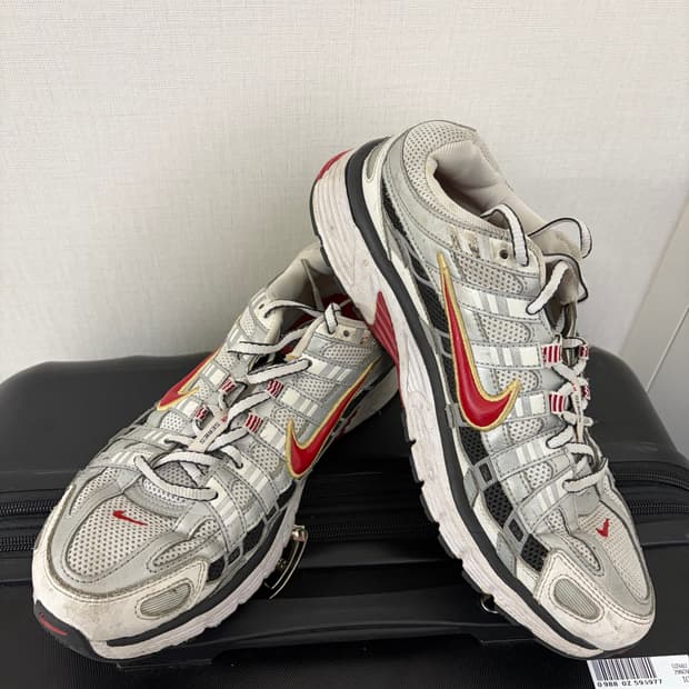 나이키 P6000 실버 레드 270사이즈