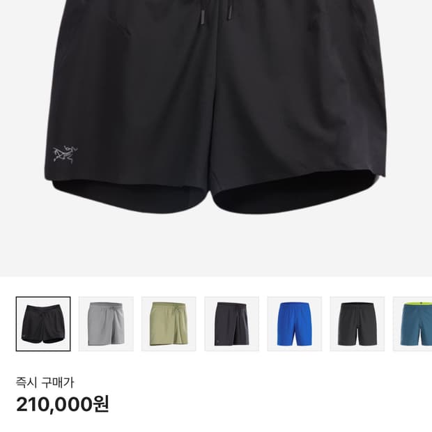 아크테릭스 반바지