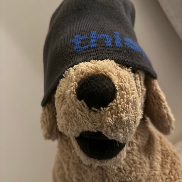 Thisisneverthat 비니