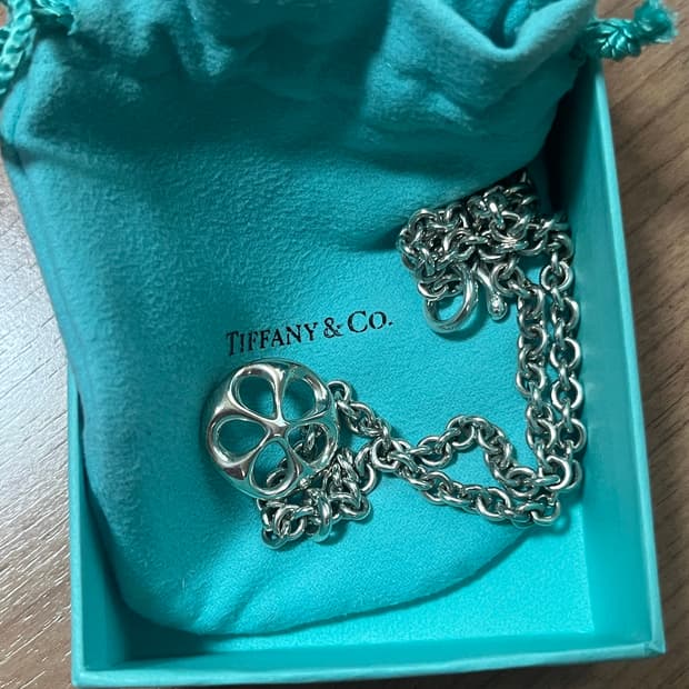Tiffany&Co 티파니앤코 한정판 데이지 토글 목걸이