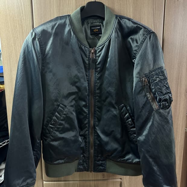 디스이즈네버댓 알파인더스트리 협업 자켓 L