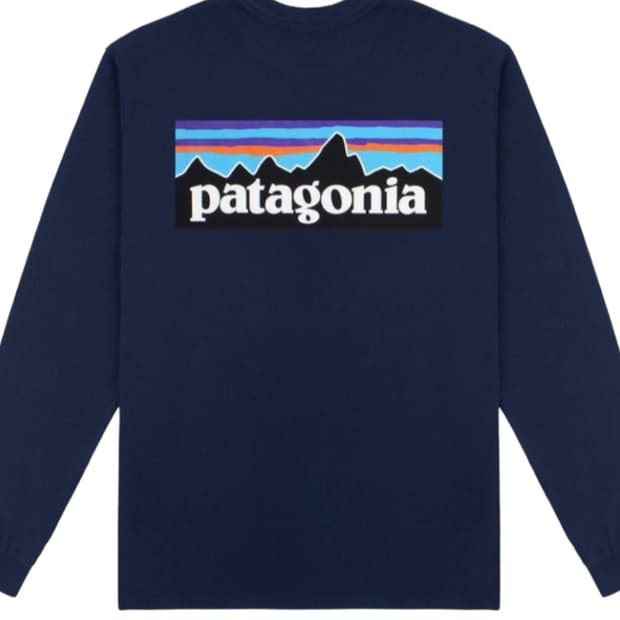 파타고니아 네이비 긴팔티