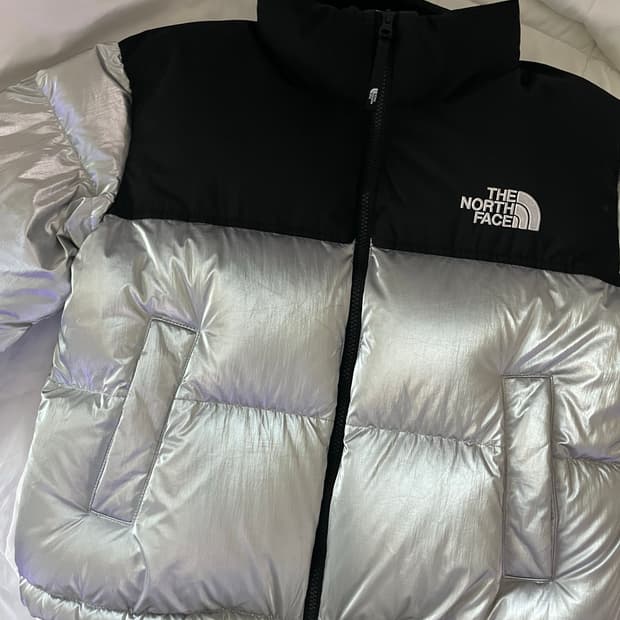노스페이스 라벨 노벨티 눕시 실버패딩