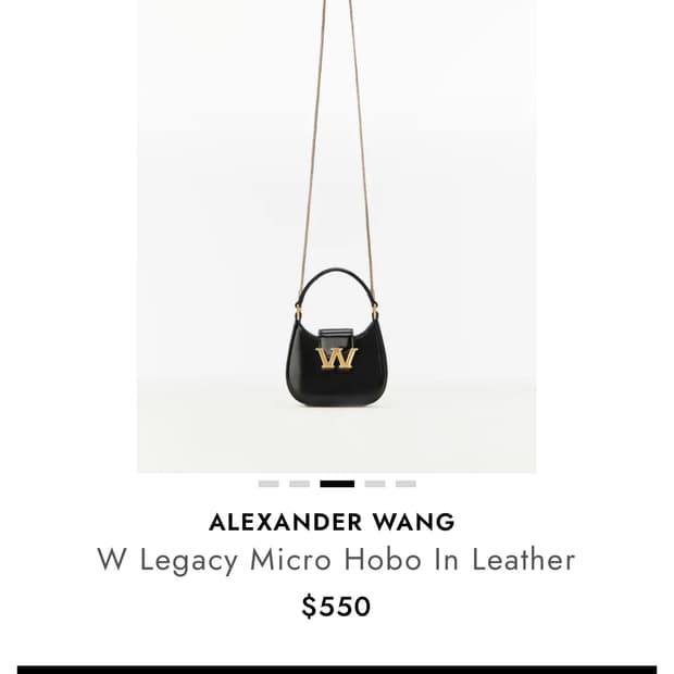 알렉산더왕 W Legacy Micro Hobo