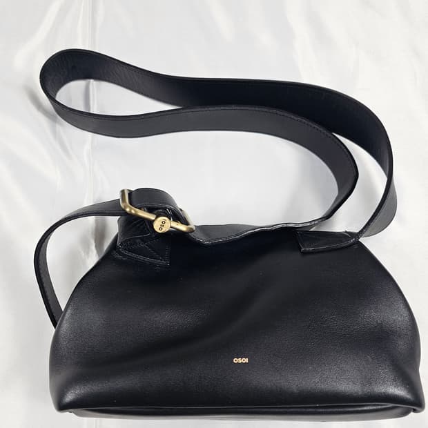 오소이미니브로트백