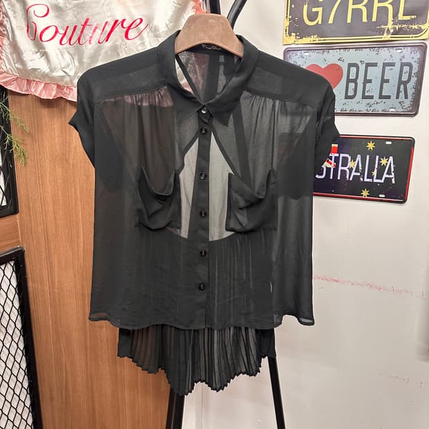 Back Panel Pleated Sheer Shirt