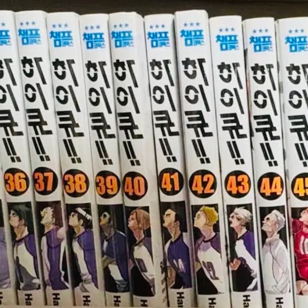 하이큐 전권 렛츠 하이큐 카드 가이드북 소설 표