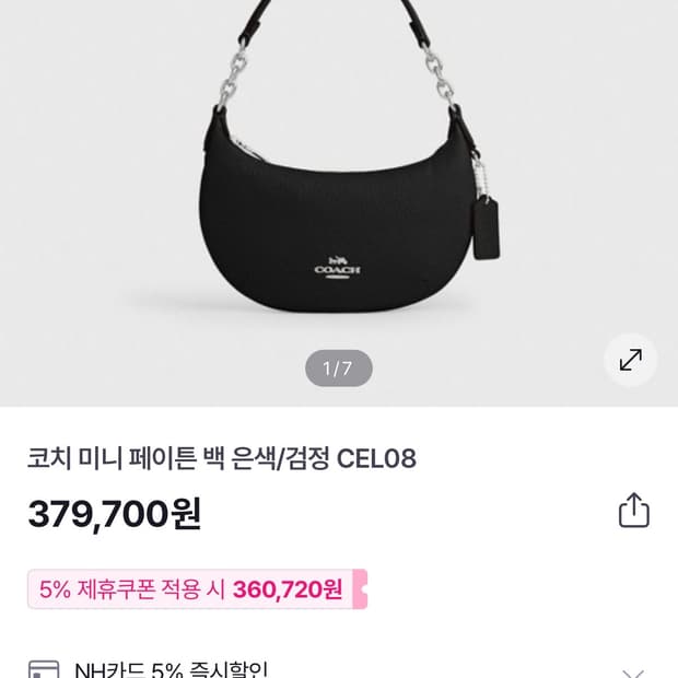 코치 미니 페이튼백