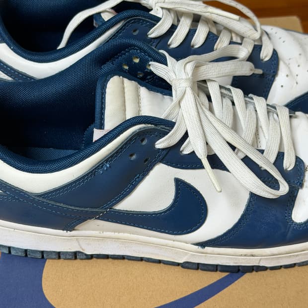 나이키 덩크 로우 레트로 발레리안 블루 280