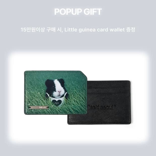 Little guinea card wallet