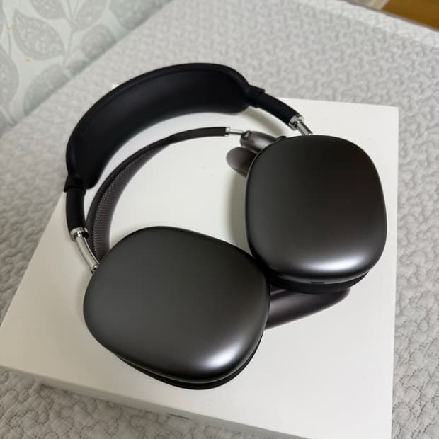 애플 에어팟 맥스 스페이스 그레이