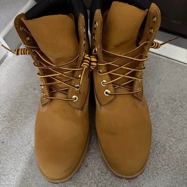 팀버랜드6인치 270