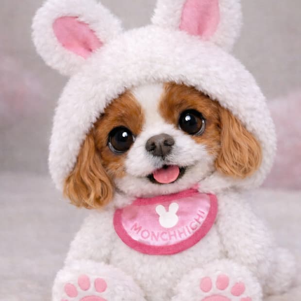 몬치치 개인창:)