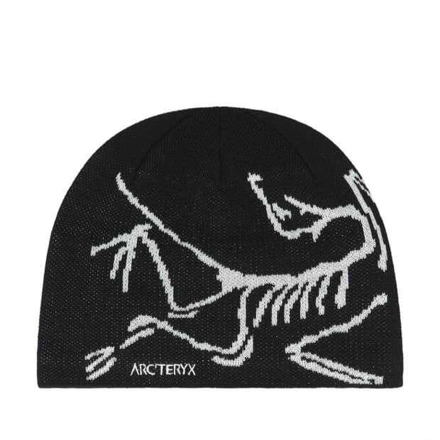 아크테릭스 비니 버드 헤드 토크