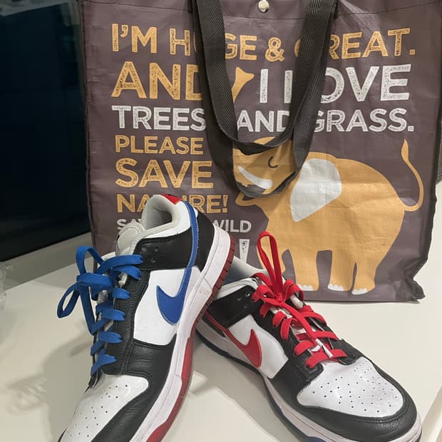 나이키 덩크로우 285 서울에디션