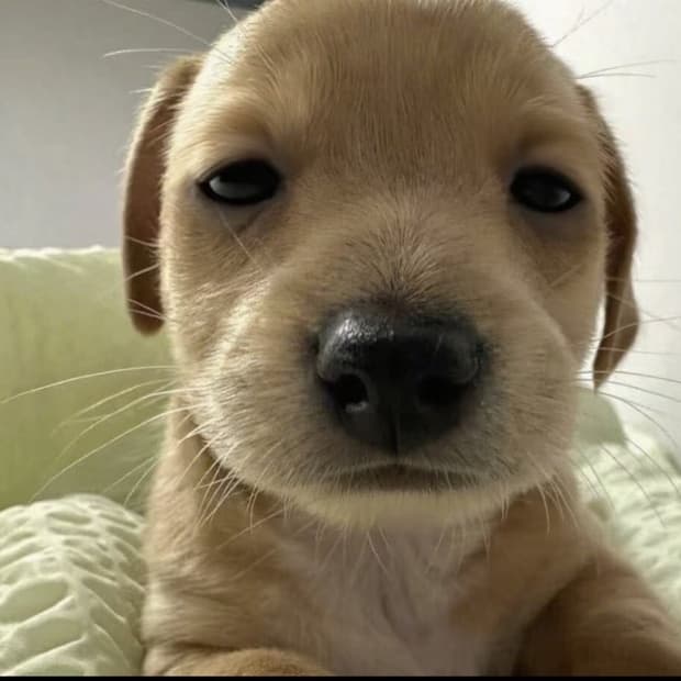 eklove님 개인결제창