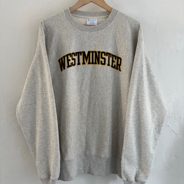 Champion 챔피온 리버스위브 스웻셔츠