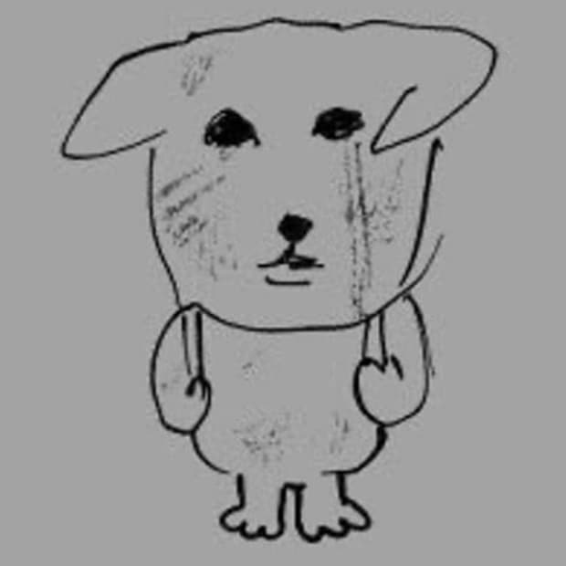 [삽니다]카시오 엑슬림 z2300 / z800 구해봅니다..