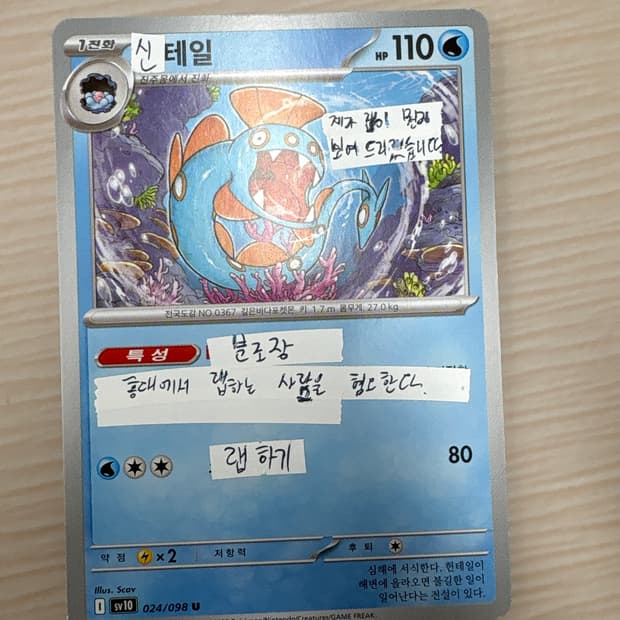 신태일 포켓몬 카드 psa10등급
