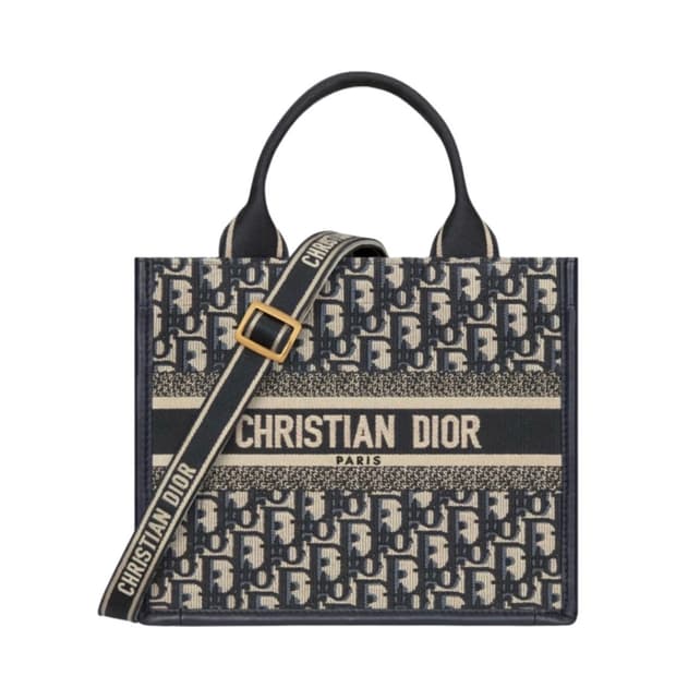 디올 오블리크 북토트백 M