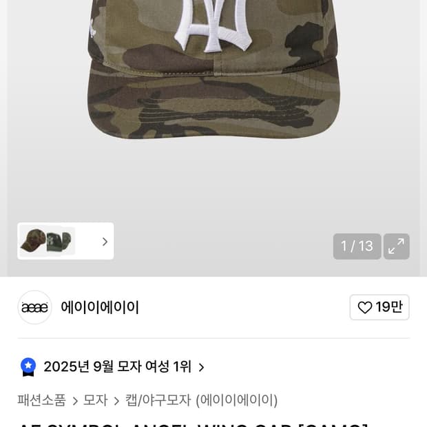aeae AE SYMBOL ANGEL WING CAP [CAMO]