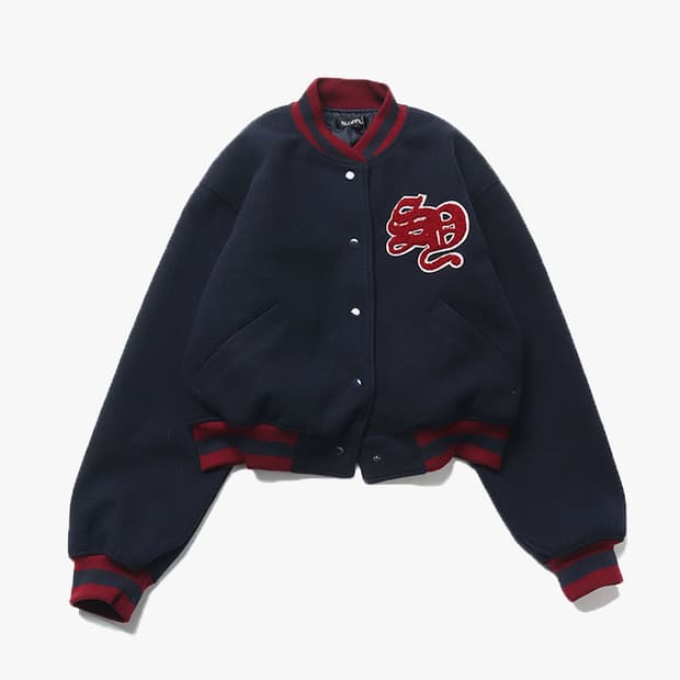 WHO’S WHO GALLERY - CROP VARSITY JACKET