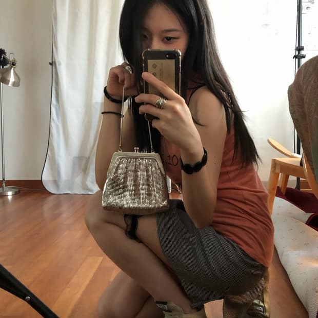 silver mesh frame bag