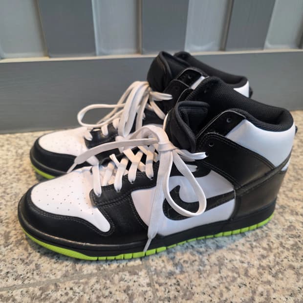 나이키 덩크 하이 "일렉트릭" 285