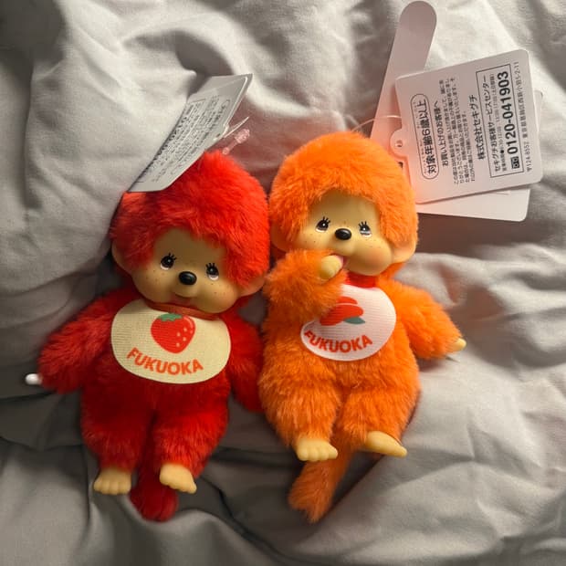 후쿠오카 한정판 몬치치