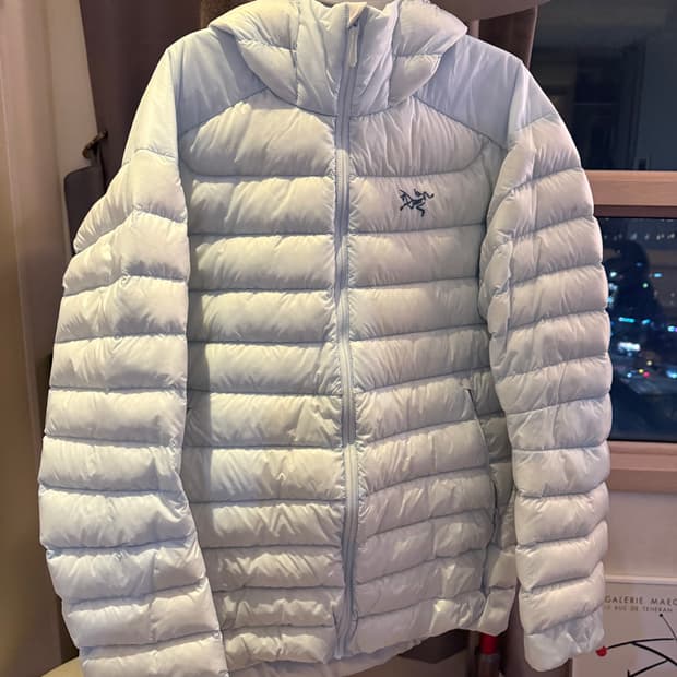 아크테릭스 세륨 데이브레이크 [L]