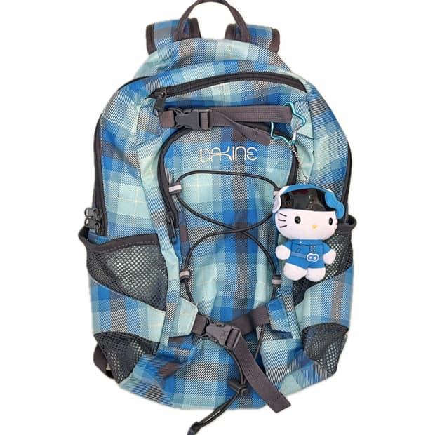 dakine 블루 체크 백팩 🌀