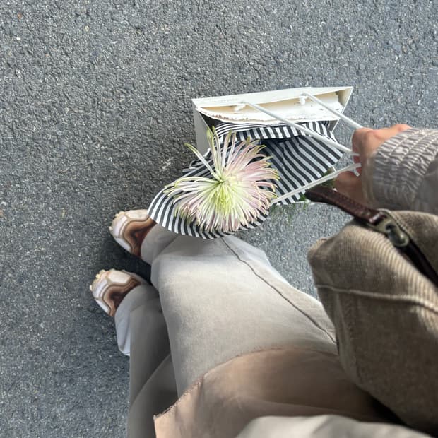 살로몬 x 보리스 밤바