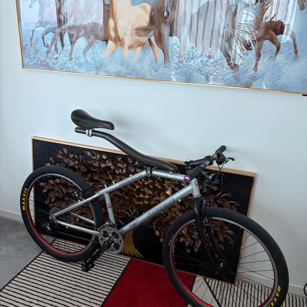 소프트라이드 빈티지 ATB 자전거