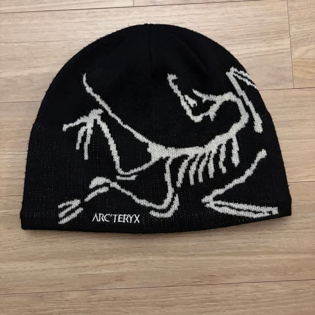 아크테릭스 비니