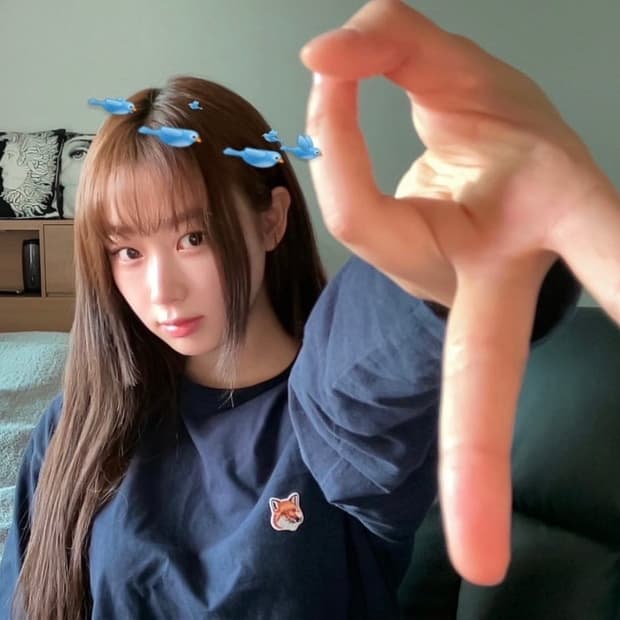 에스파 지젤 착용 메종키츠네 티셔츠 슬리브 롱슬리브 네이비 XS