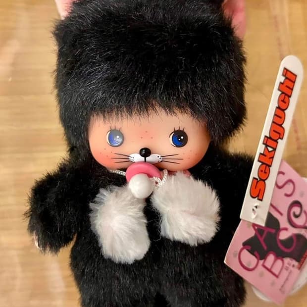몬치치 베비치치 검은색 냥이 구해요