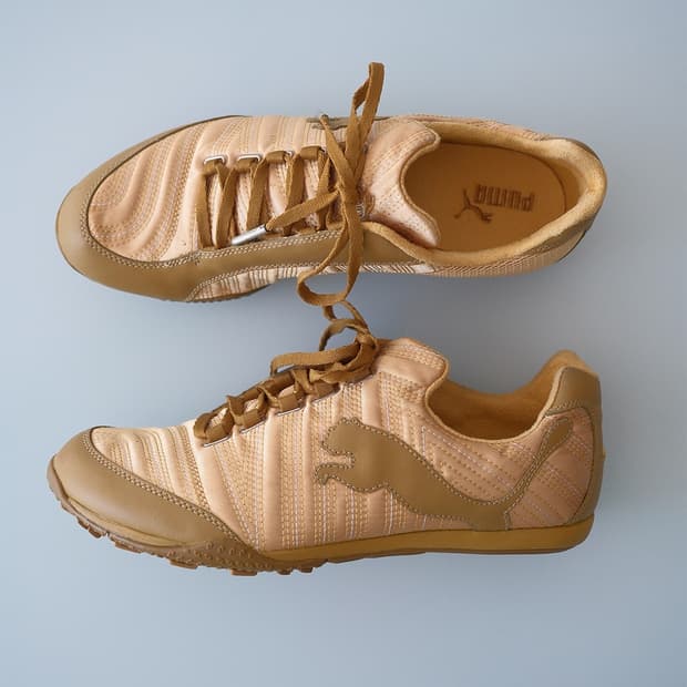 Puma Lena