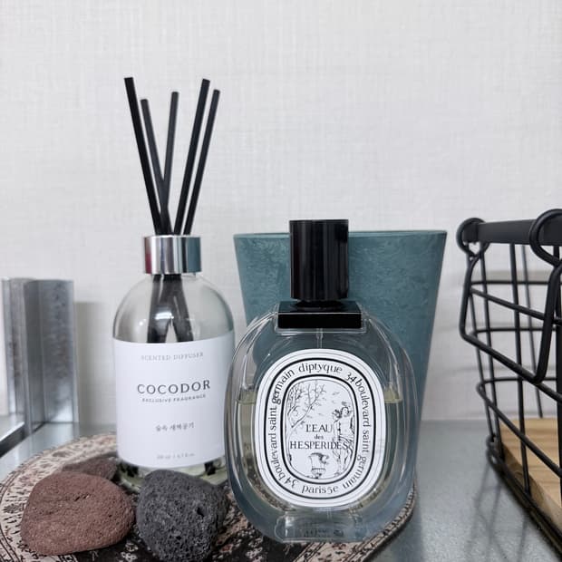 딥디크 로 데 헤스페리데스 100ml