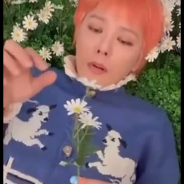 Ss daley 지드래곤 가디건