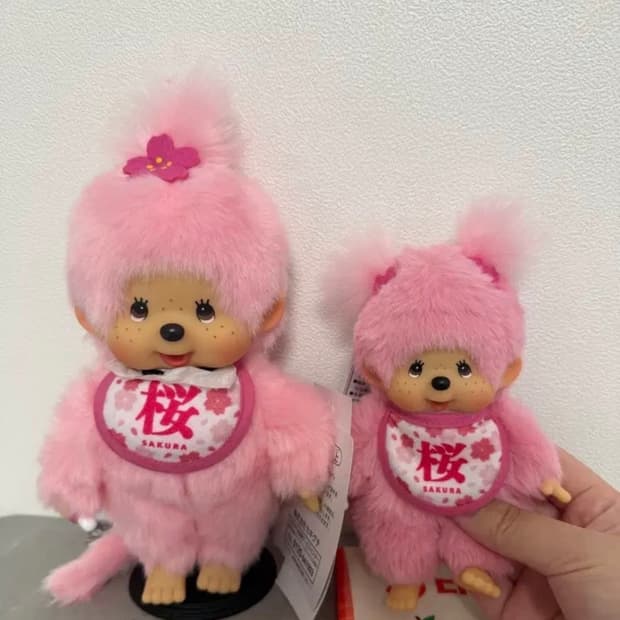 몬치치 사쿠라 신상(ㅅㅅㄹㅁㄹ