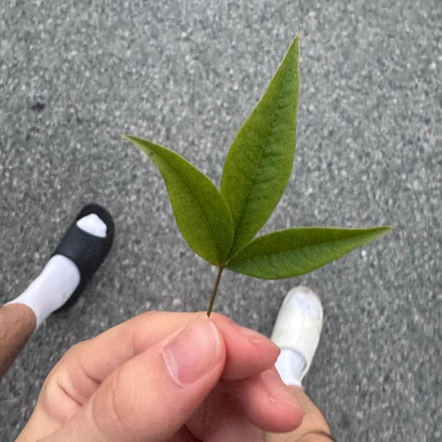 제 상점에 있는 모든 물품 교신 받아요!