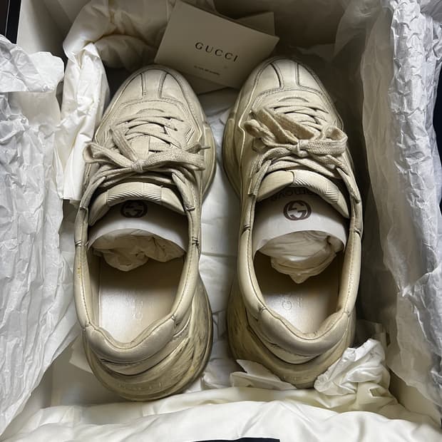 구찌 라이톤 더티