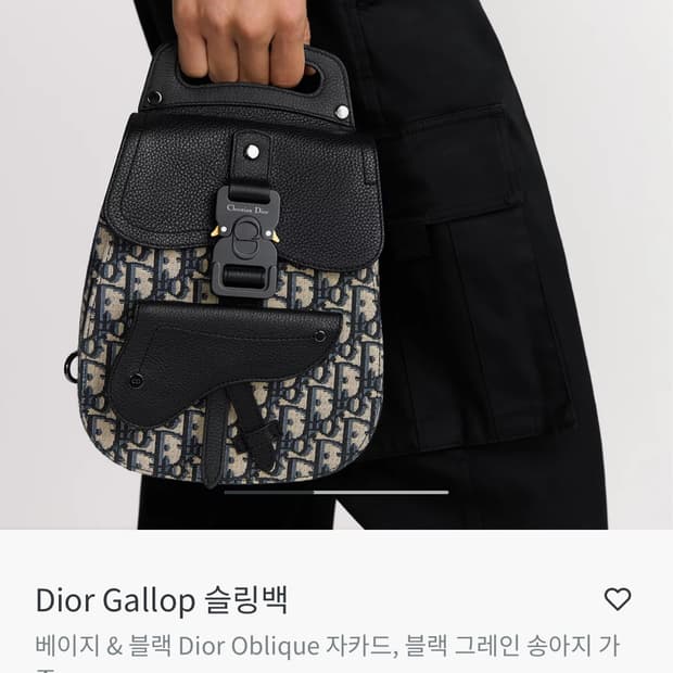 디올 갤럽 슬링백
