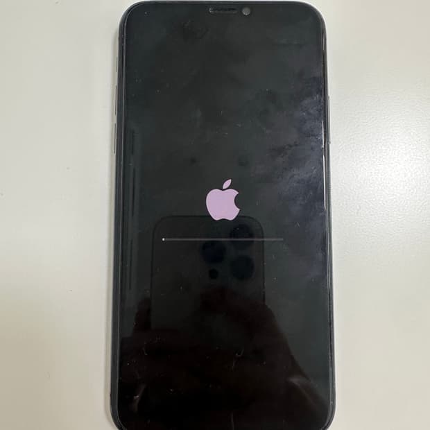 아이폰 xs 스그 64기가 (외관, 작동 모두 정상, 수리 이력 없음)