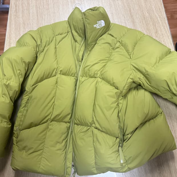 노스페이스 올란 패딩