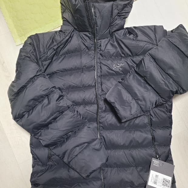 아크테릭스 토륨 후디L