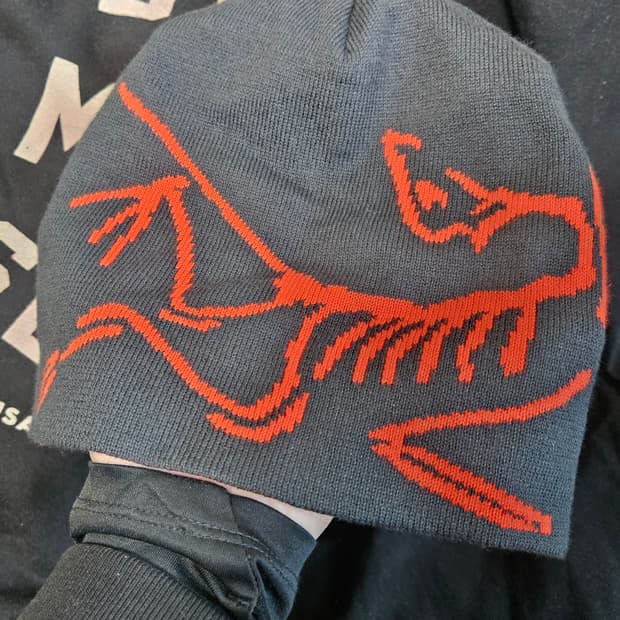 아크테릭스 비니