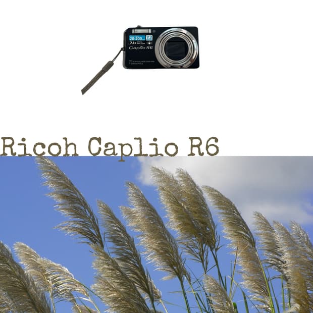 Ricoh Caplio R6