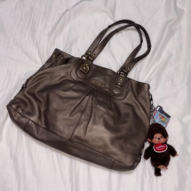 Coach glitter shoulder bag