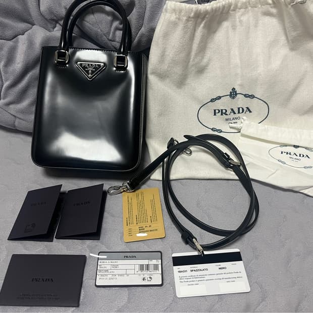 프라다 브러쉬드 카프스킨 도트백 스몰 블랙